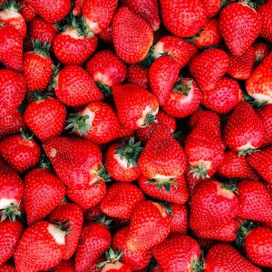 FRAISE DE PLOUGASTEL